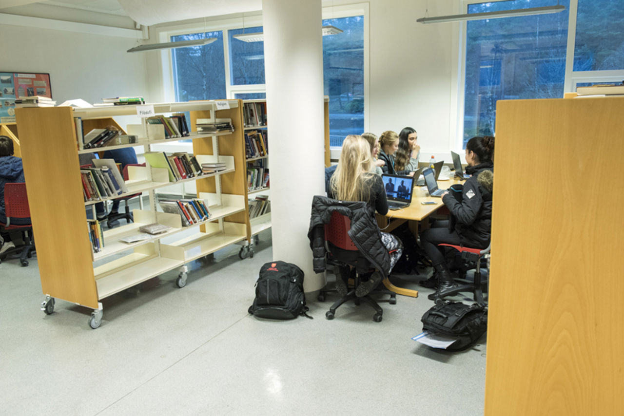  Elevar  som jobbar med gruppearbeid på biblioteket